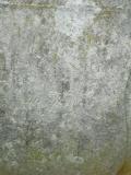 image of grave number 263112